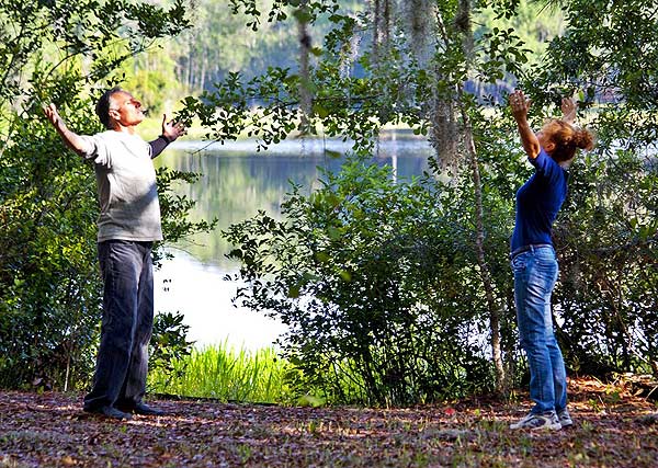 Dancing Peacock Paradise photo by Azore